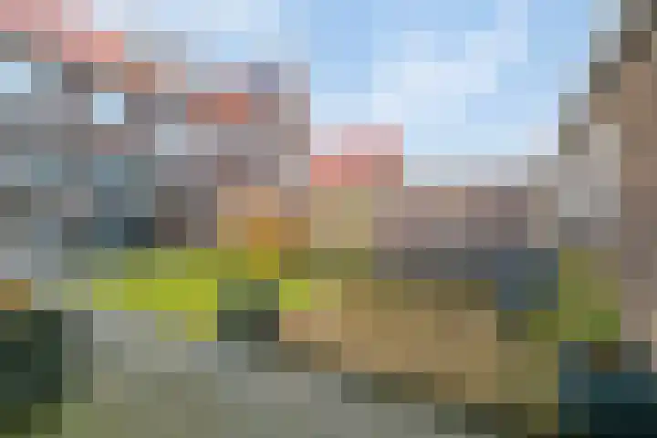 Julianastraat 33 Strijen thumbnail 35