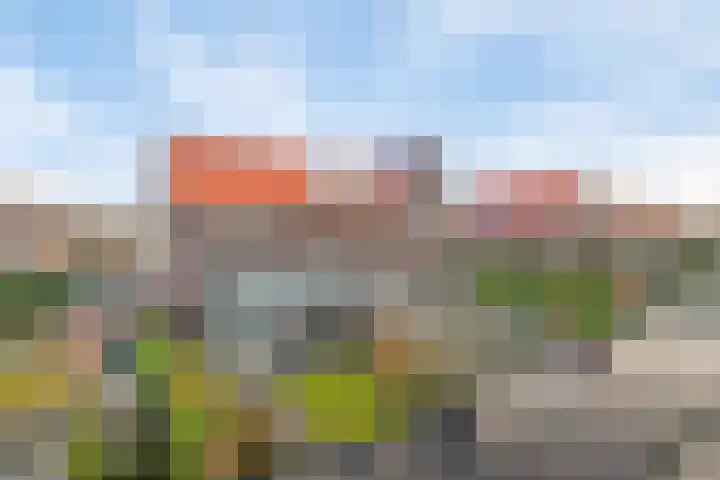 Julianastraat 33 Strijen thumbnail 37
