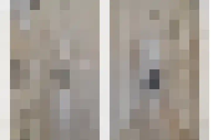 Julianastraat 33 Strijen thumbnail 39