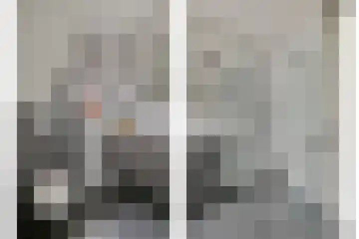 Julianastraat 33 Strijen thumbnail 40