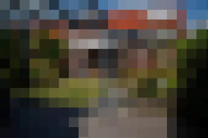 Julianastraat 33 Strijen thumbnail 43