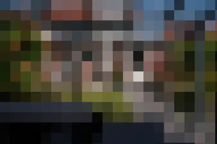 Julianastraat 33 Strijen thumbnail 45