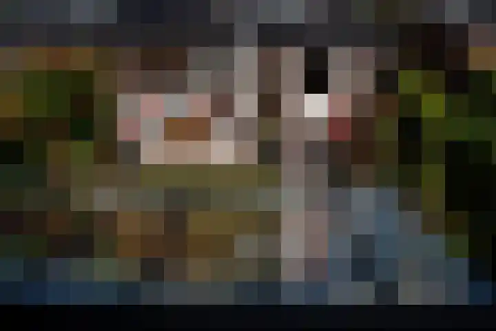 Julianastraat 33 Strijen thumbnail 46