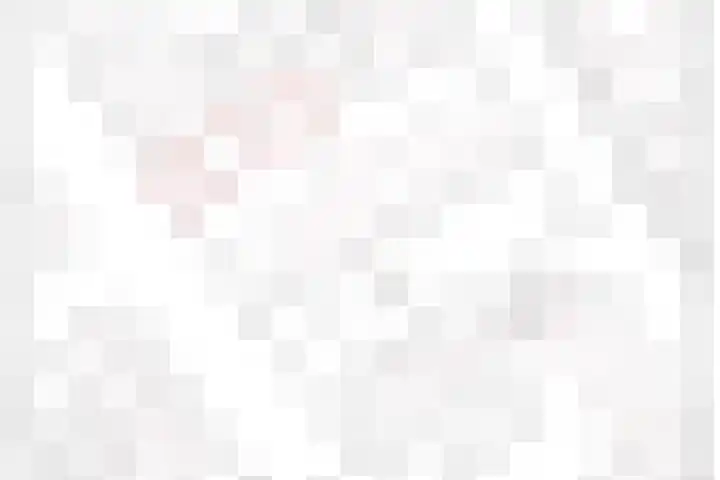 Julianastraat 33 Strijen thumbnail 51