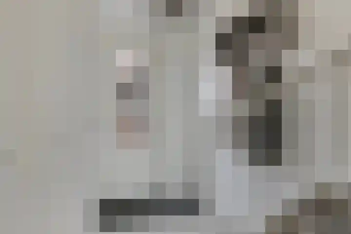 Julianastraat 33 Strijen thumbnail 7