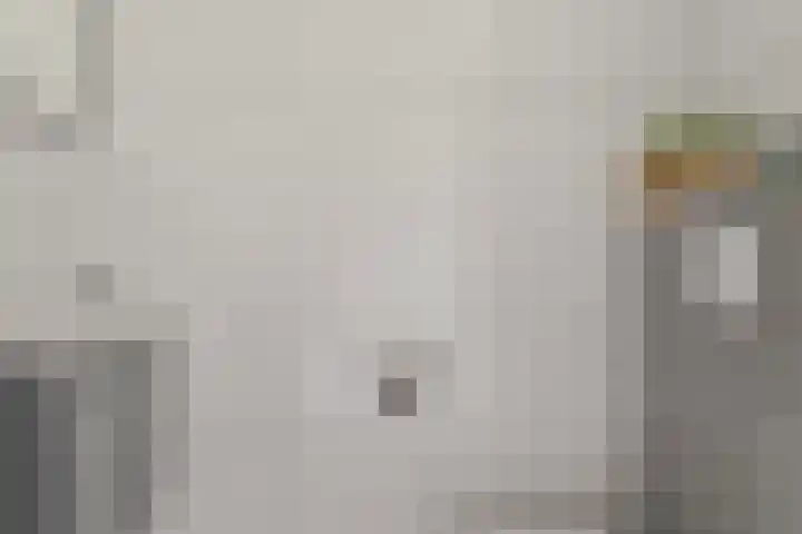Julianastraat 33 Strijen thumbnail 8