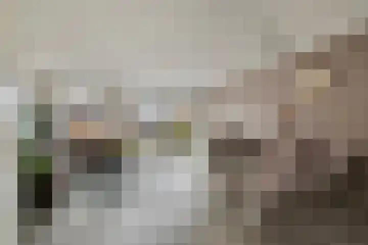 Julianastraat 33 Strijen thumbnail 9