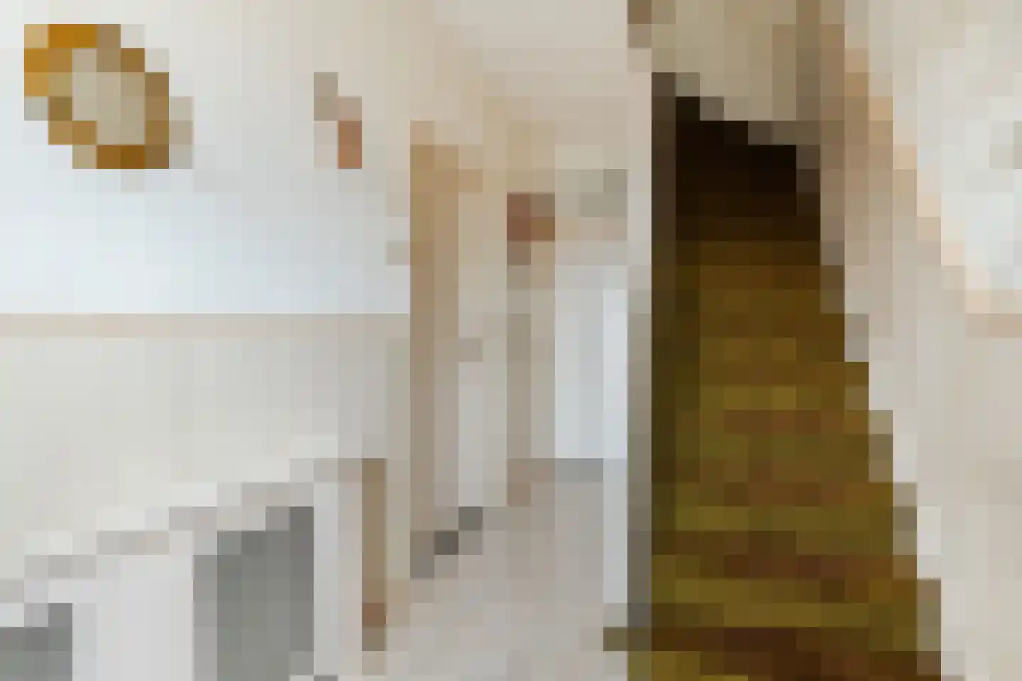 Julianastraat 33 Terneuzen thumbnail 12