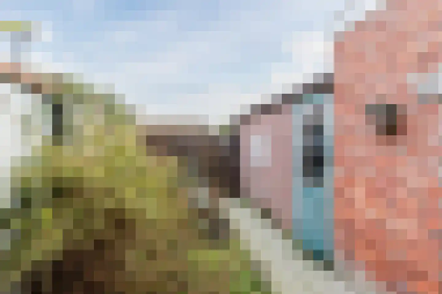 Julianastraat 33 Terneuzen thumbnail 25