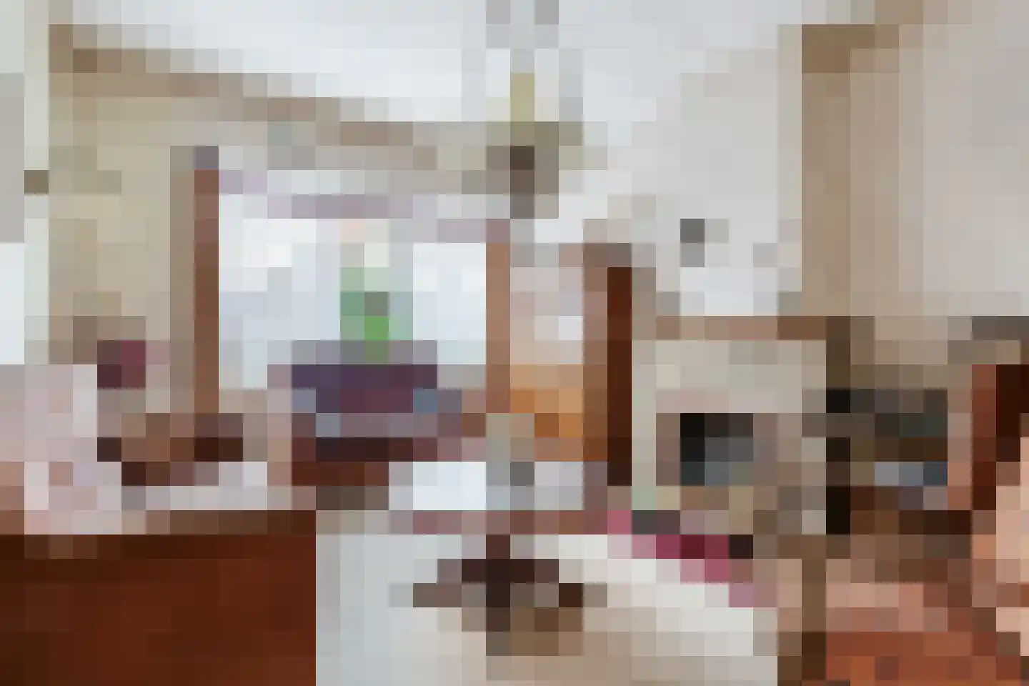 Julianastraat 33 Terneuzen thumbnail 6