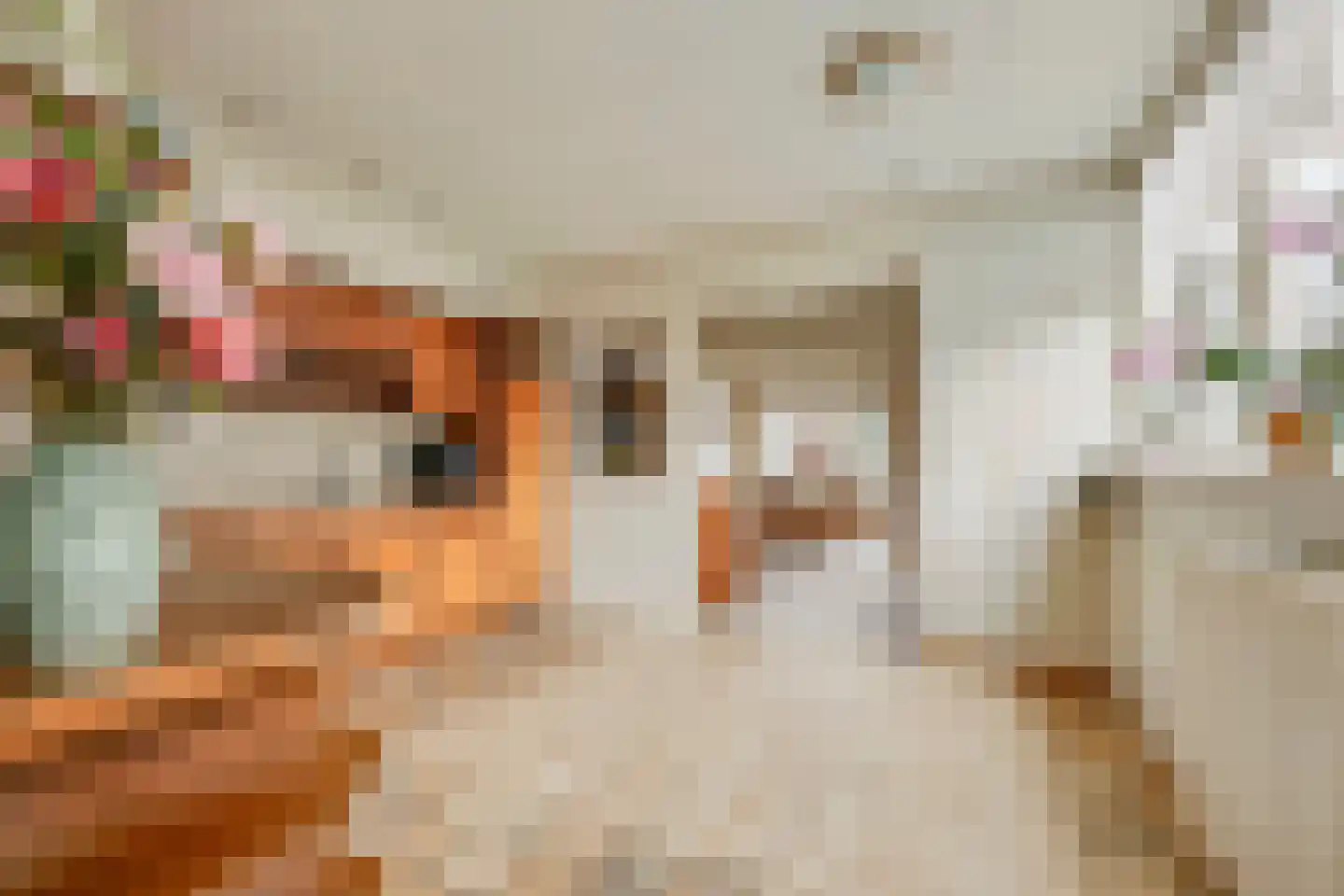 Julianastraat 33 Wehl thumbnail 10