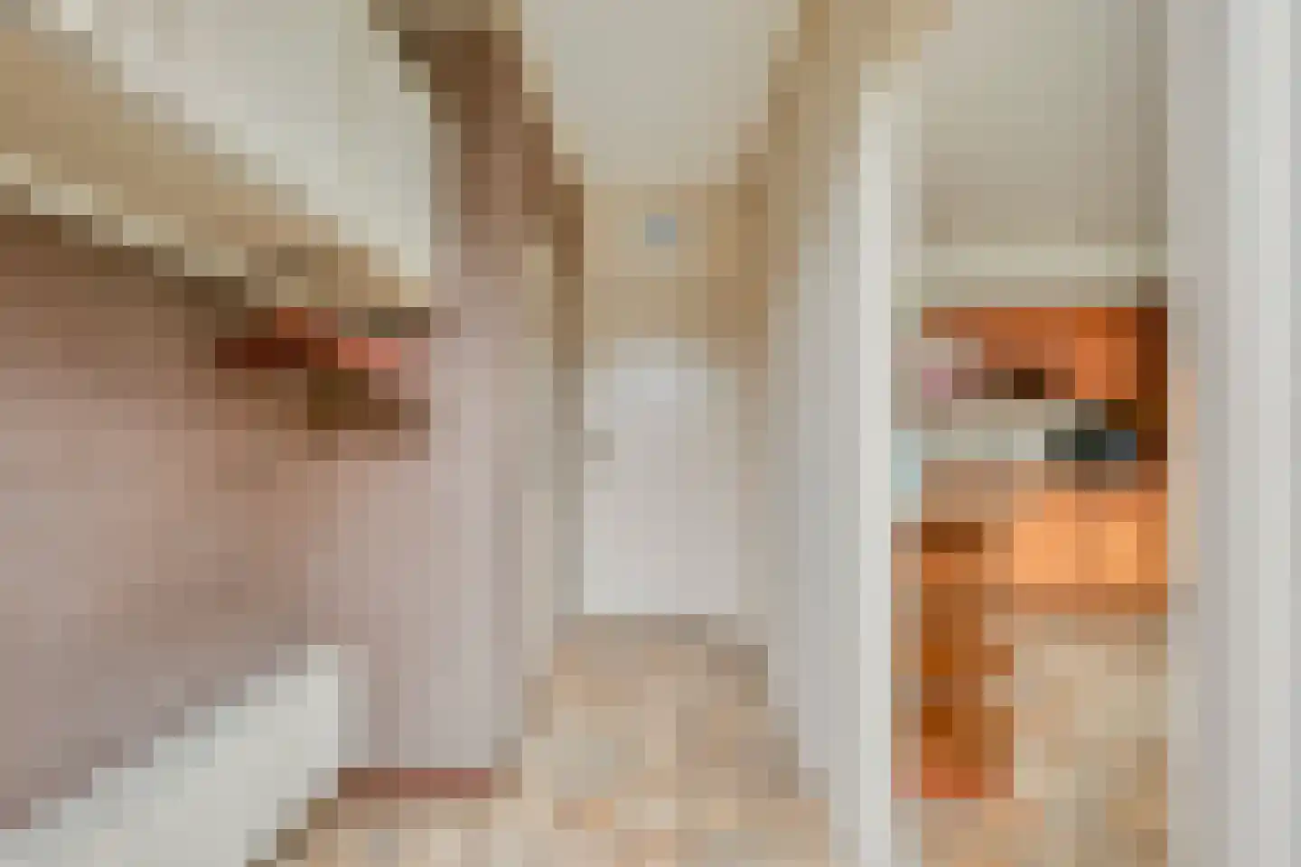 Julianastraat 33 Wehl thumbnail 11