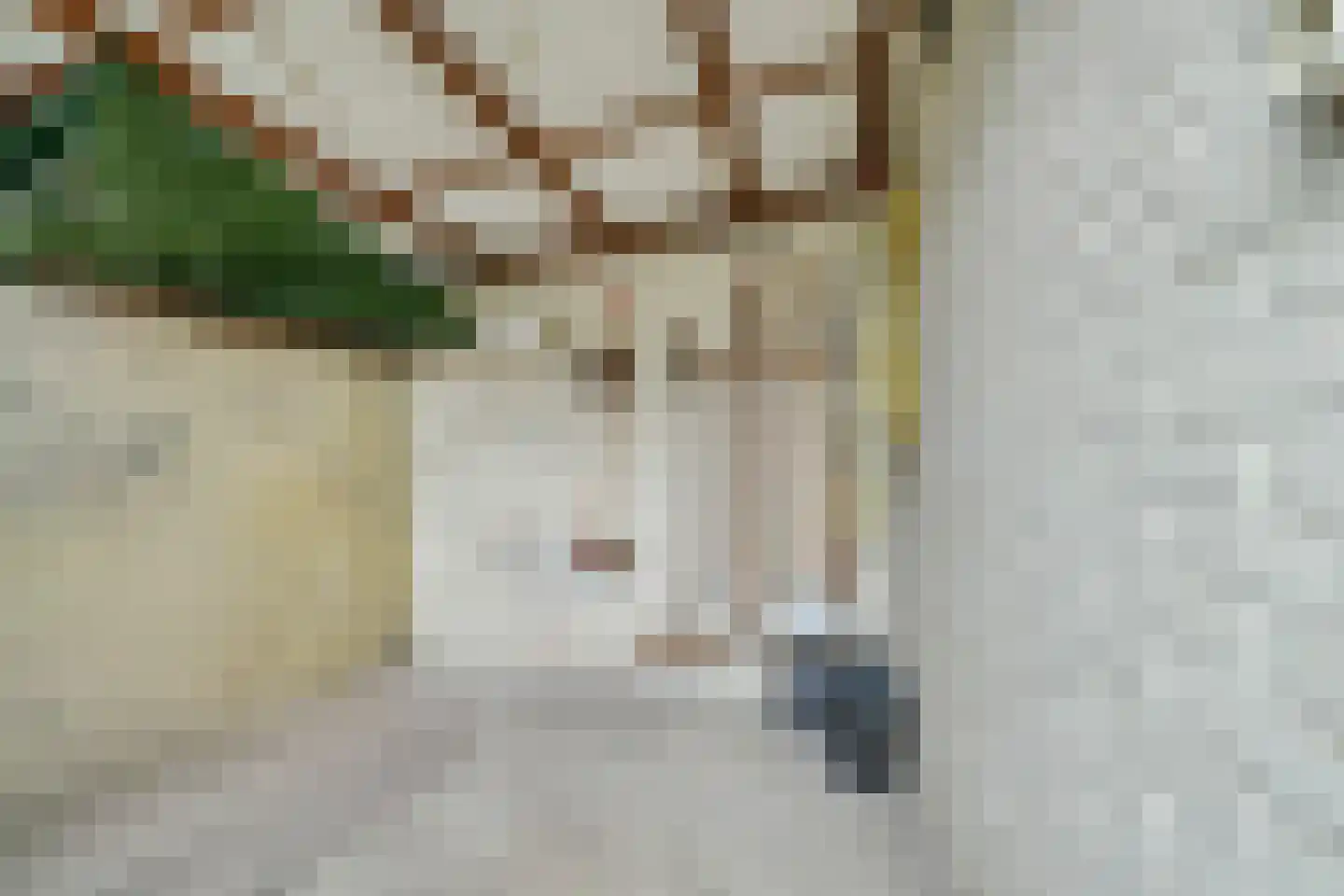 Julianastraat 33 Wehl thumbnail 13