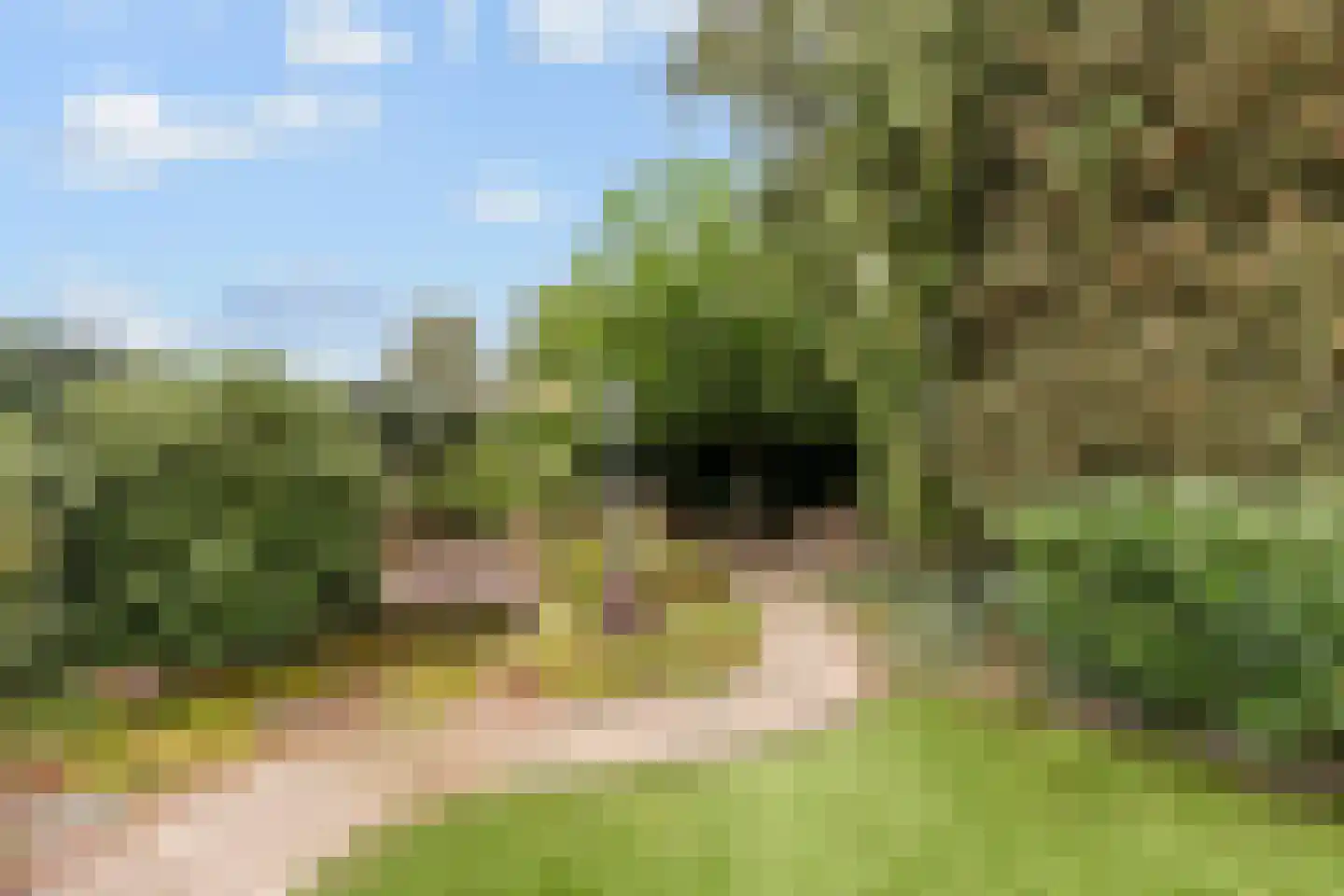 Julianastraat 33 Wehl thumbnail 21