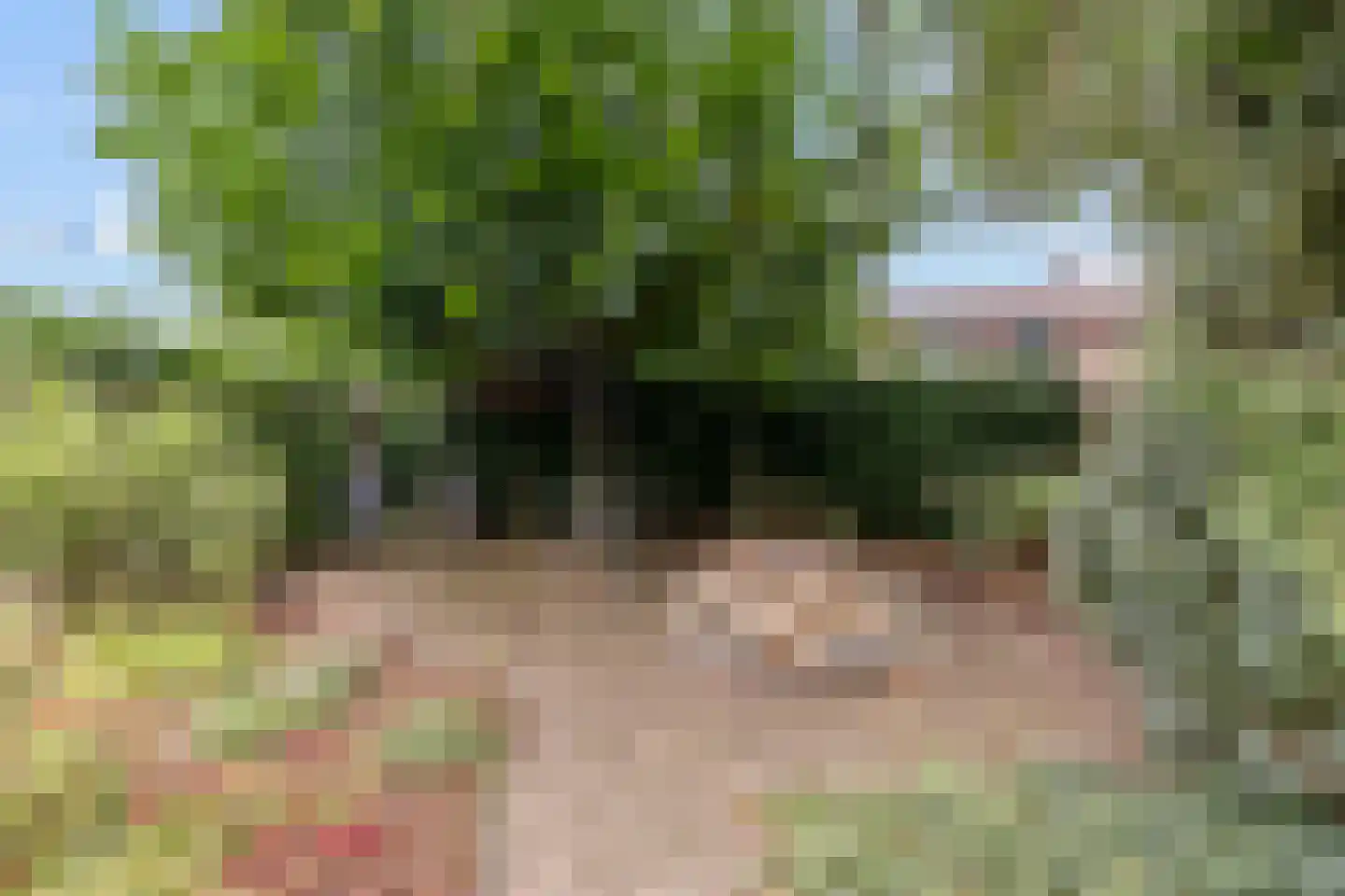 Julianastraat 33 Wehl thumbnail 22