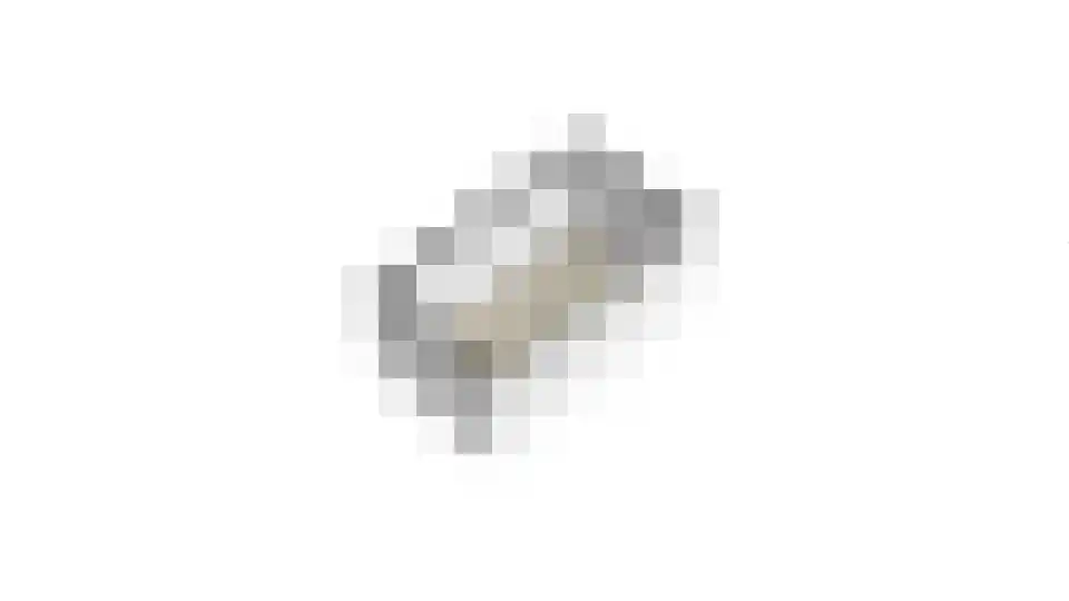 Julianastraat 33 Wehl thumbnail 37