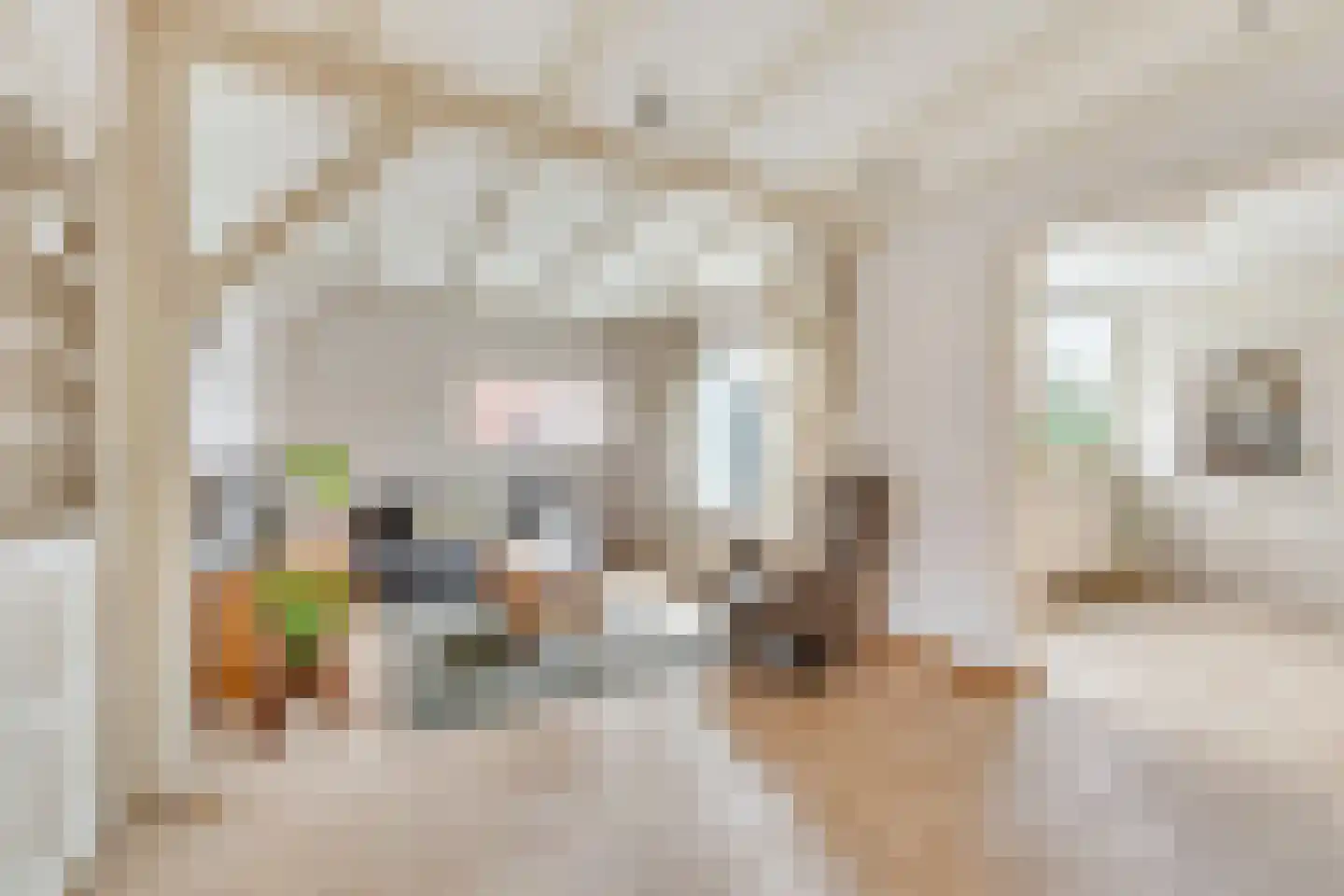 Julianastraat 33 Wehl thumbnail 7