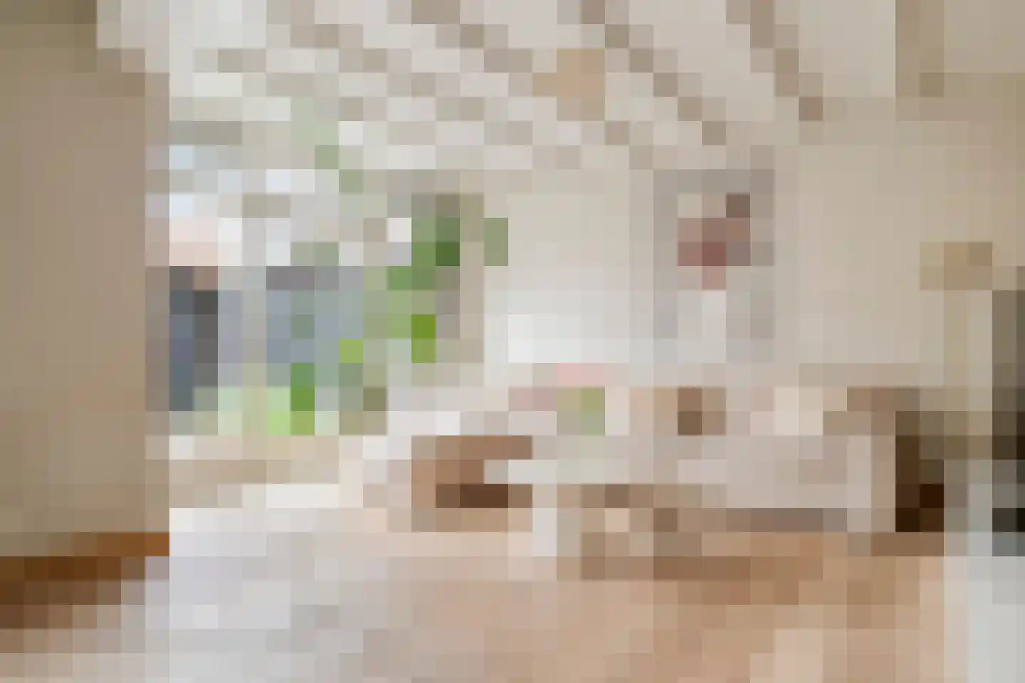 Julianastraat 34 Beneden-Leeuwen thumbnail 10