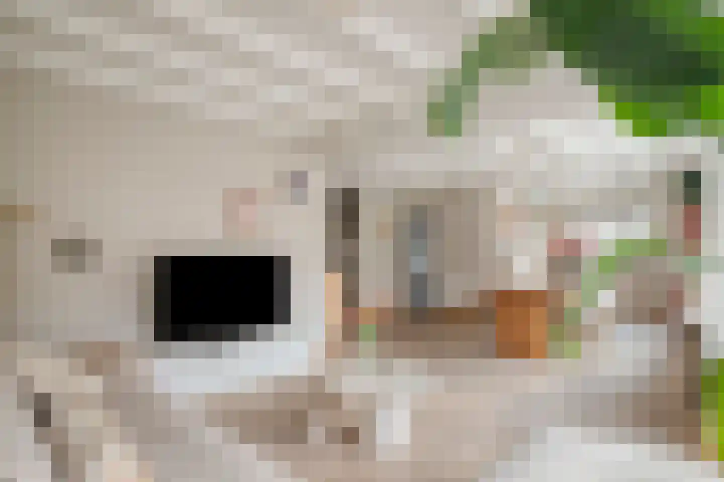Julianastraat 34 Beneden-Leeuwen thumbnail 11