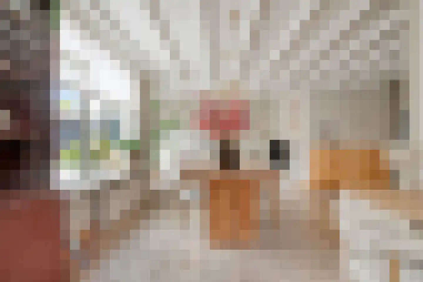 Julianastraat 34 Beneden-Leeuwen thumbnail 16