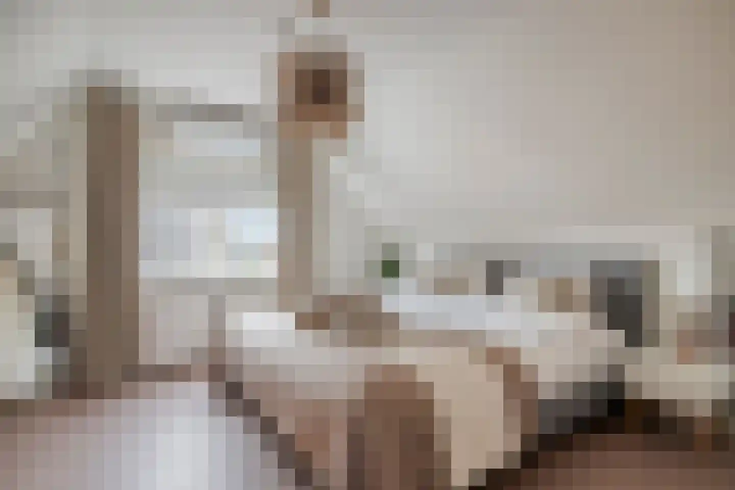 Julianastraat 34 Beneden-Leeuwen thumbnail 26