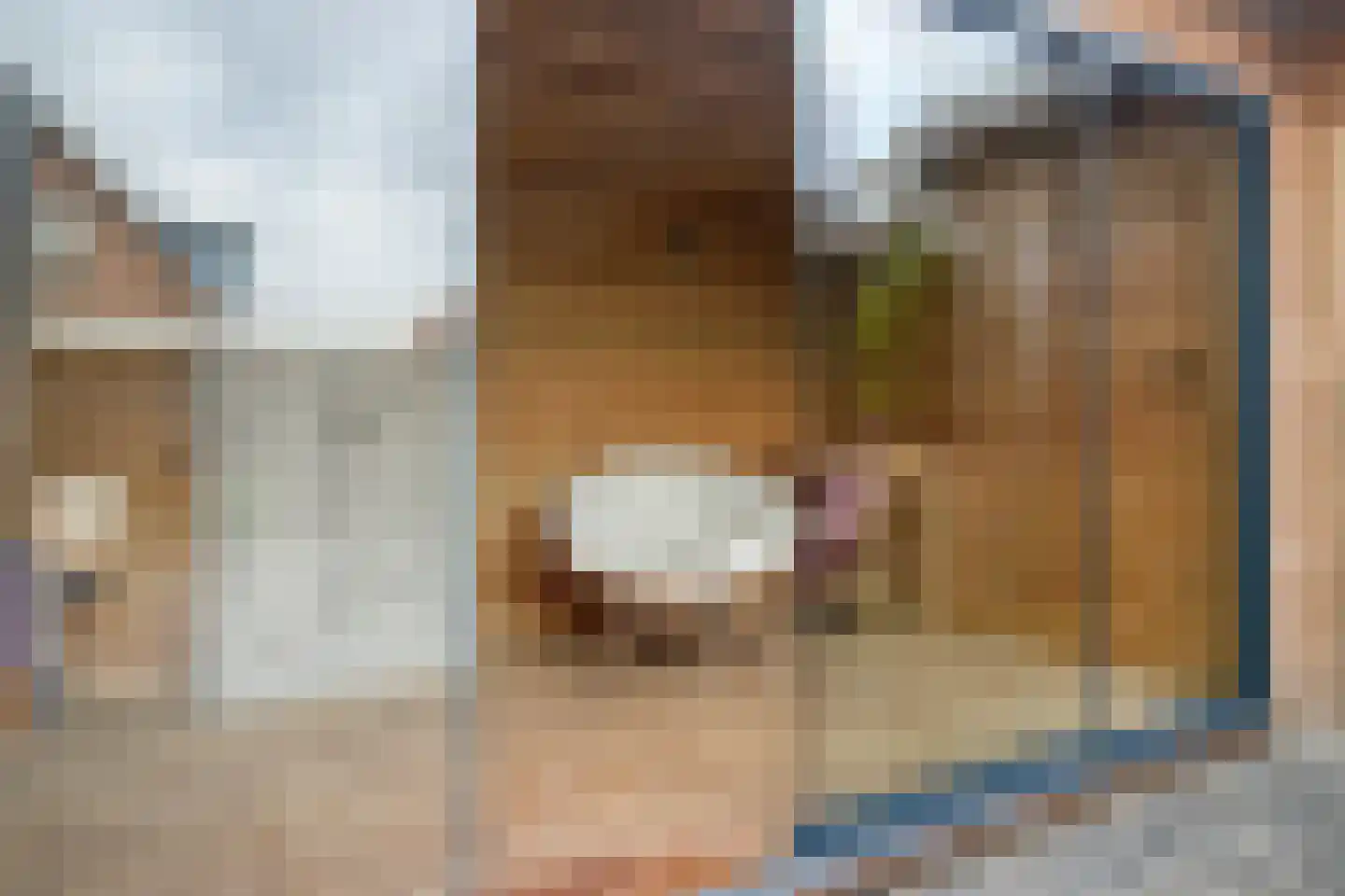Julianastraat 34 Beneden-Leeuwen thumbnail 38