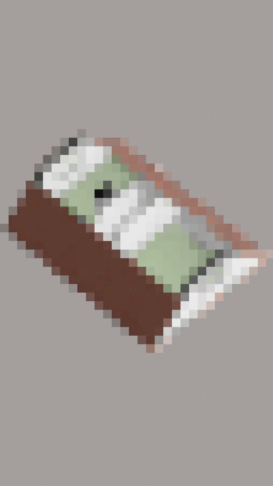 Julianastraat 34 Beneden-Leeuwen thumbnail 49