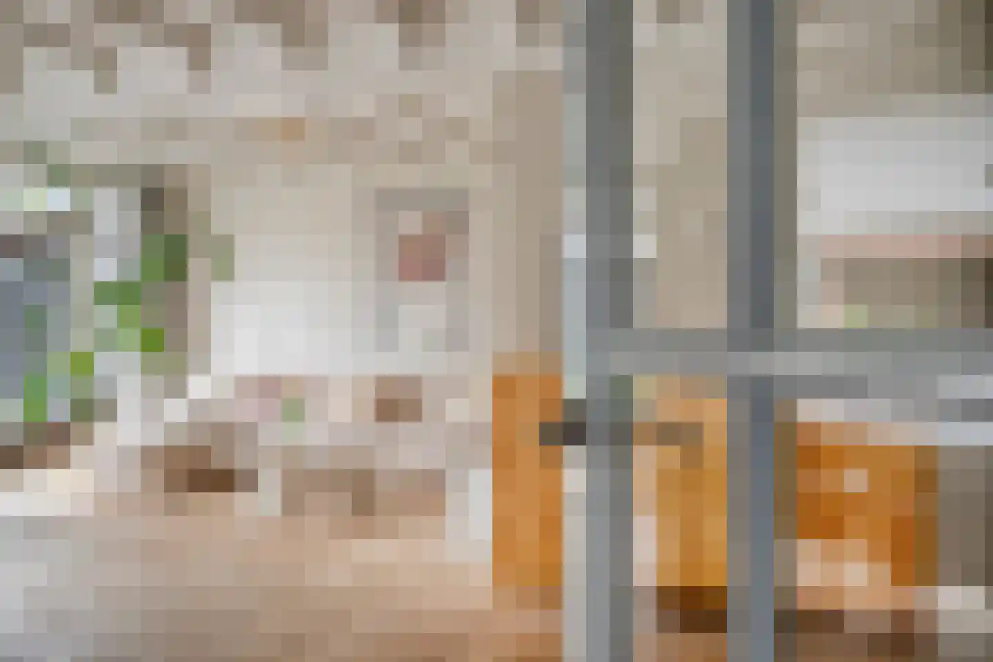 Julianastraat 34 Beneden-Leeuwen thumbnail 7