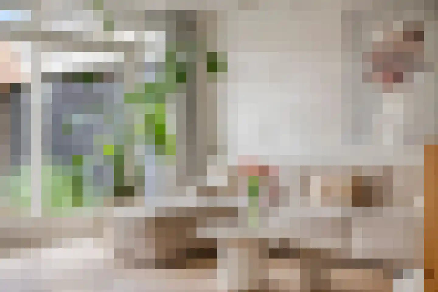 Julianastraat 34 Beneden-Leeuwen thumbnail 8