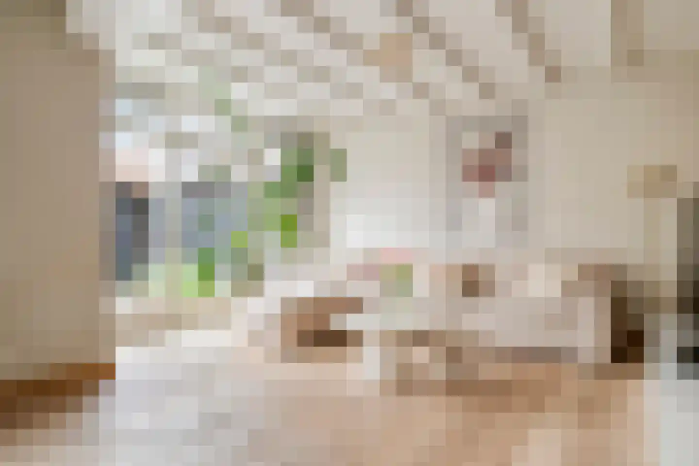 Julianastraat 34 Beneden-Leeuwen thumbnail 9