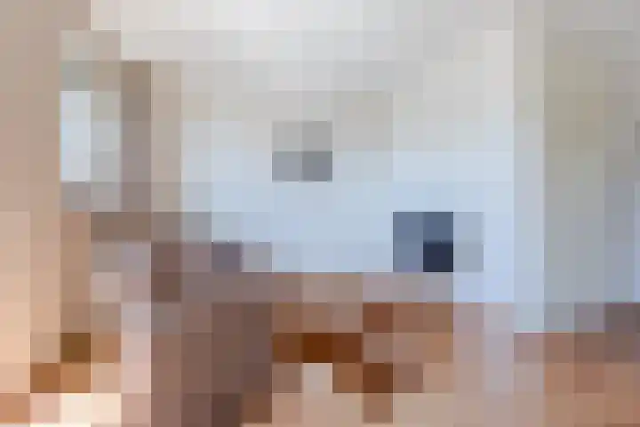 Julianastraat 34 C Berghem thumbnail 10