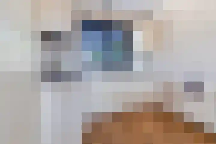 Julianastraat 34 C Berghem thumbnail 13