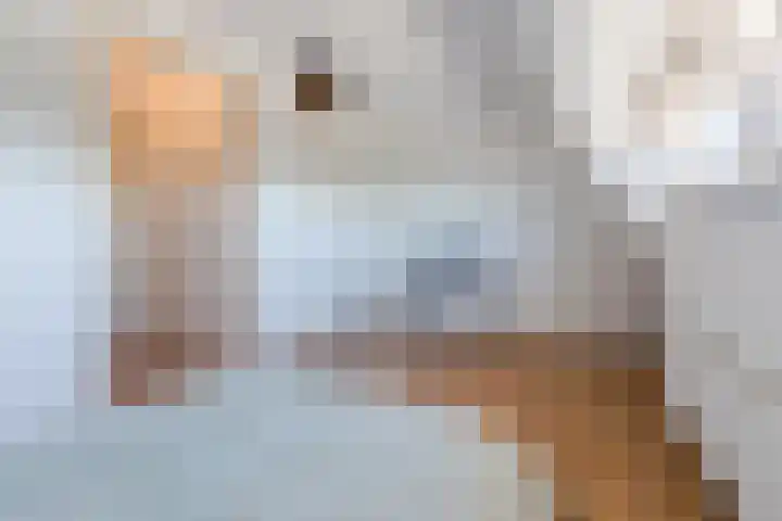 Julianastraat 34 C Berghem thumbnail 19
