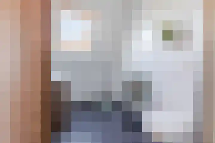 Julianastraat 34 C Berghem thumbnail 20