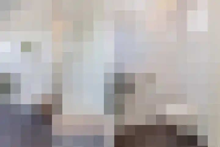 Julianastraat 34 C Berghem thumbnail 24
