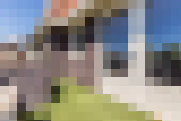 Julianastraat 34 C Berghem thumbnail 28