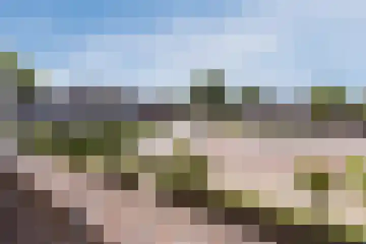 Julianastraat 34 C Berghem thumbnail 29