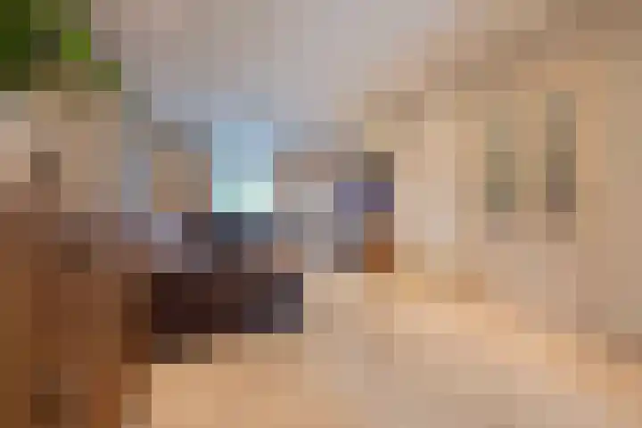 Julianastraat 34 Hoeven thumbnail 14