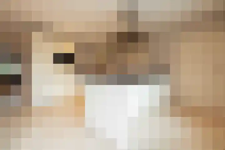 Julianastraat 34 Hoeven thumbnail 18