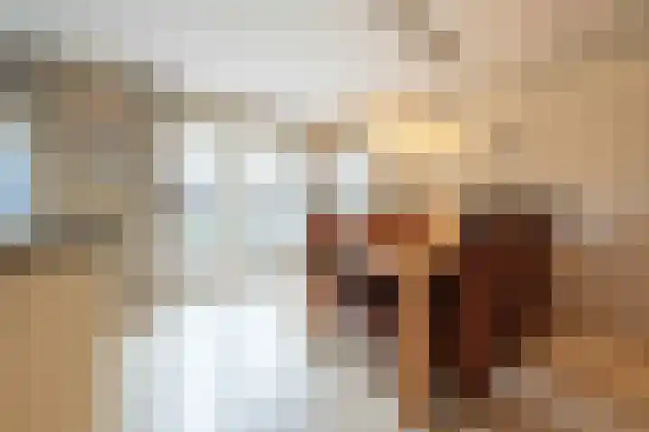 Julianastraat 34 Hoeven thumbnail 21