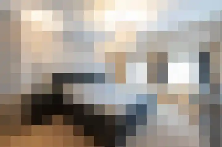 Julianastraat 34 Hoeven thumbnail 39
