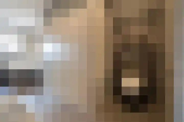Julianastraat 34 Hoeven thumbnail 45