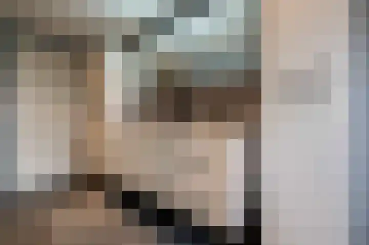 Julianastraat 34 Hoeven thumbnail 46