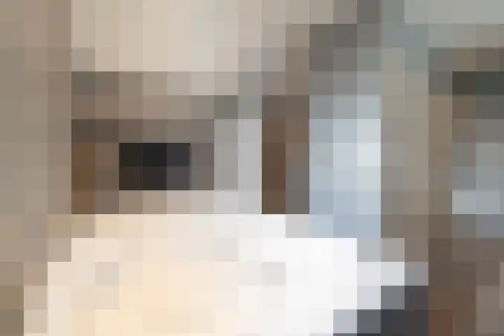 Julianastraat 34 Hoeven thumbnail 47