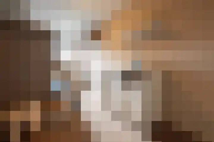 Julianastraat 34 Hoeven thumbnail 51