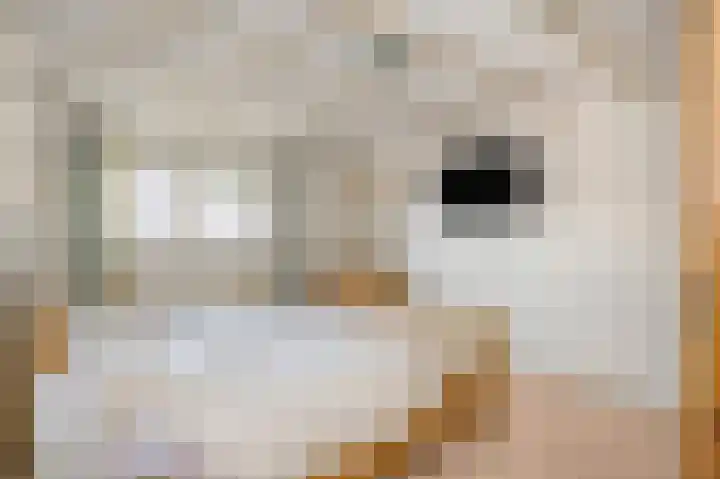 Julianastraat 34 Hulsberg thumbnail 28