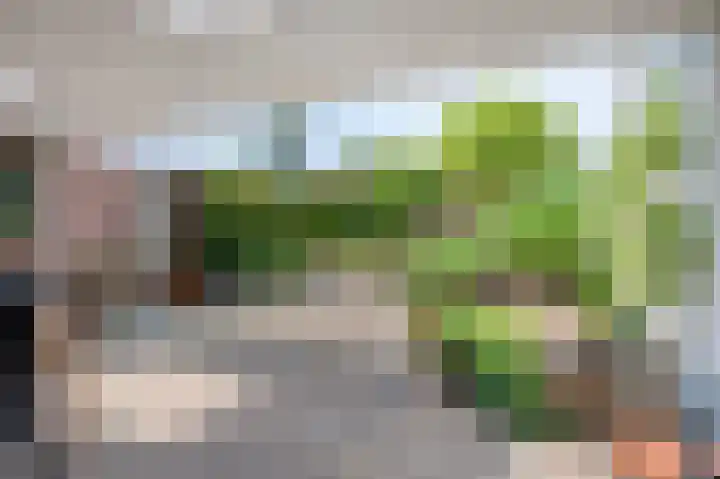 Julianastraat 34 Hulsberg thumbnail 39