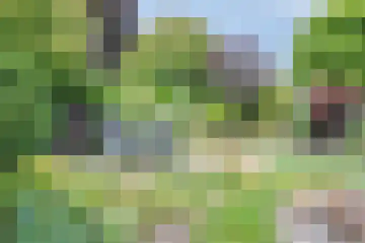 Julianastraat 34 Hulsberg thumbnail 47