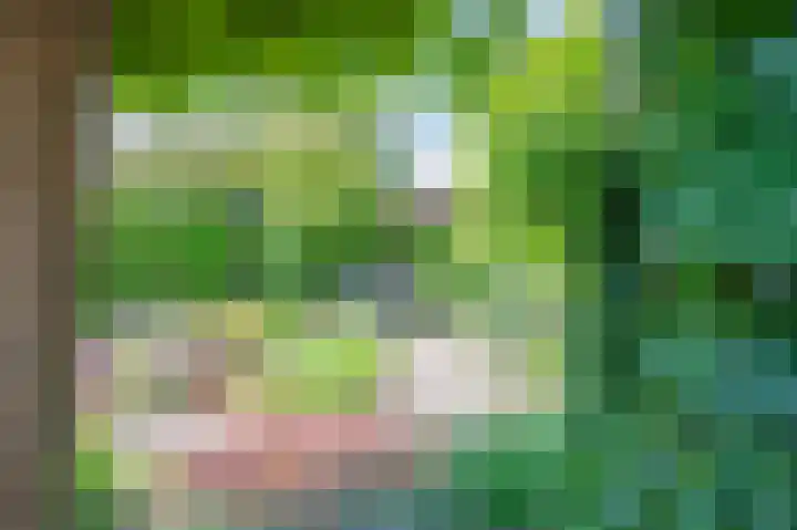 Julianastraat 34 Hulsberg thumbnail 48
