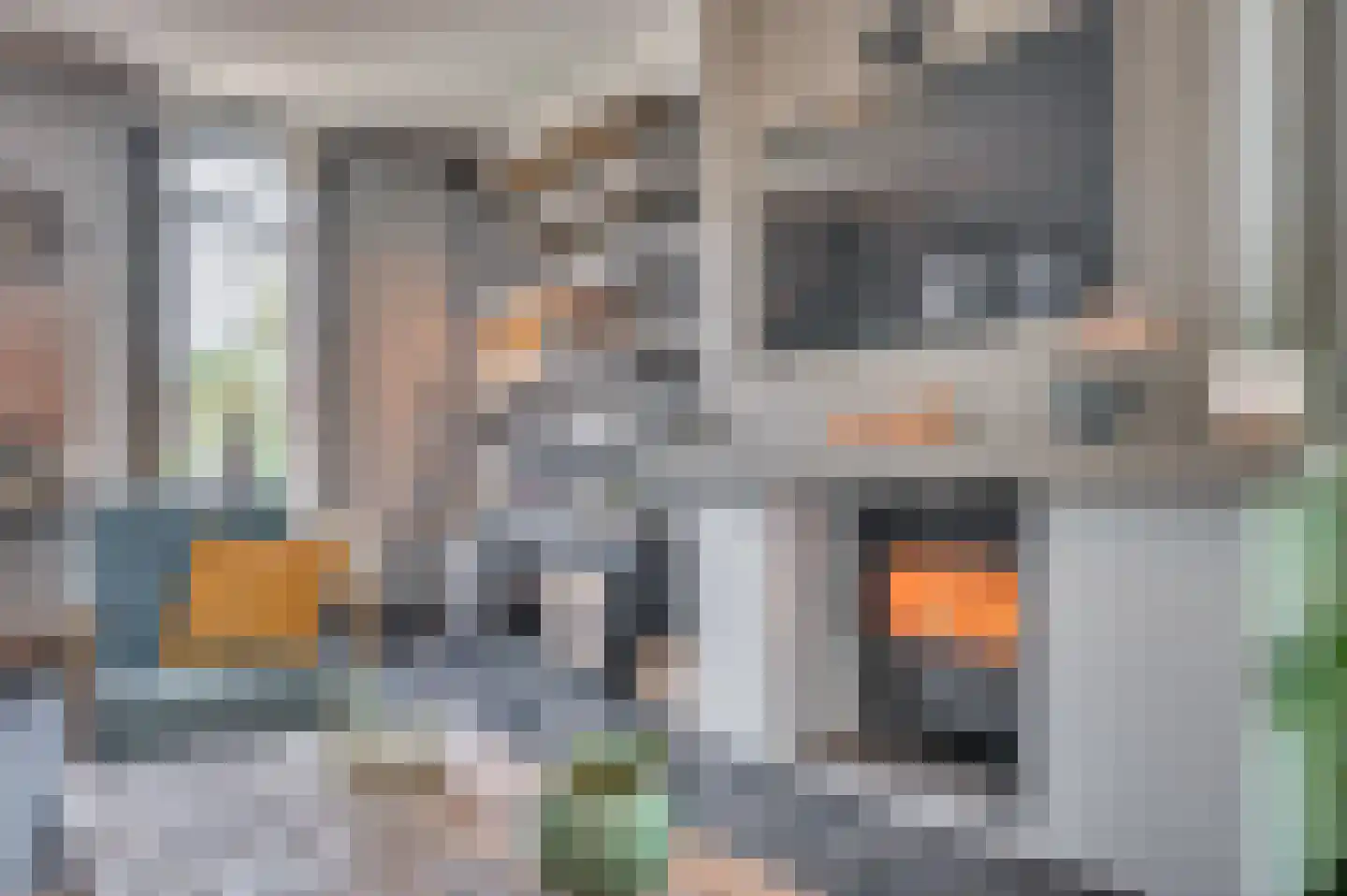 Julianastraat 35 Belfeld thumbnail 20
